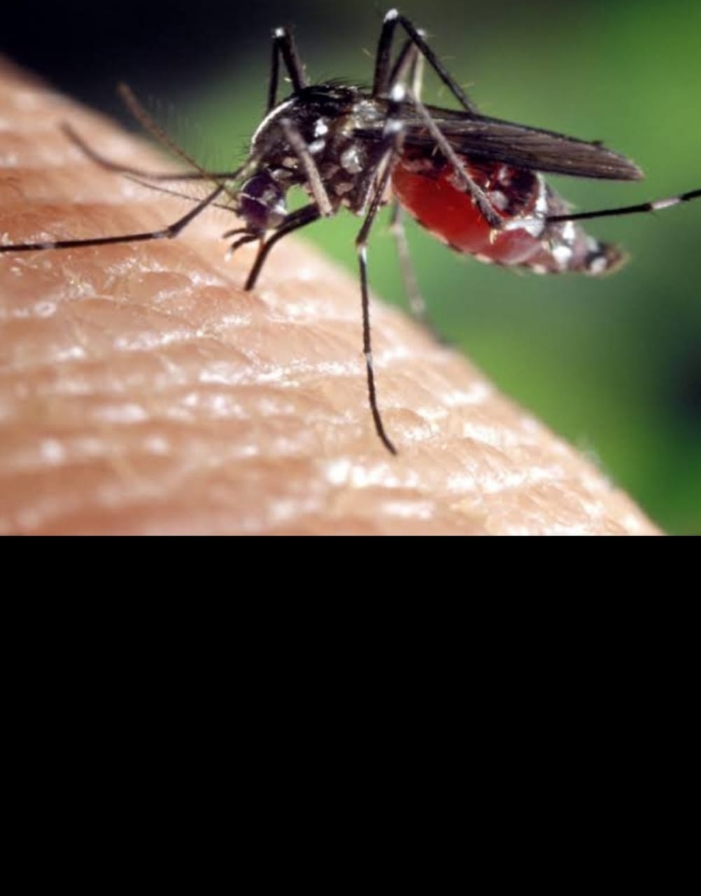 डेंगू वार्ड में अव्यवस्था मिलने पर सीएमओ ने जताई नाराजगी 