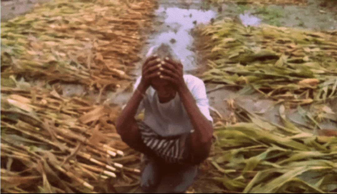सोती सरकार हताश किसान