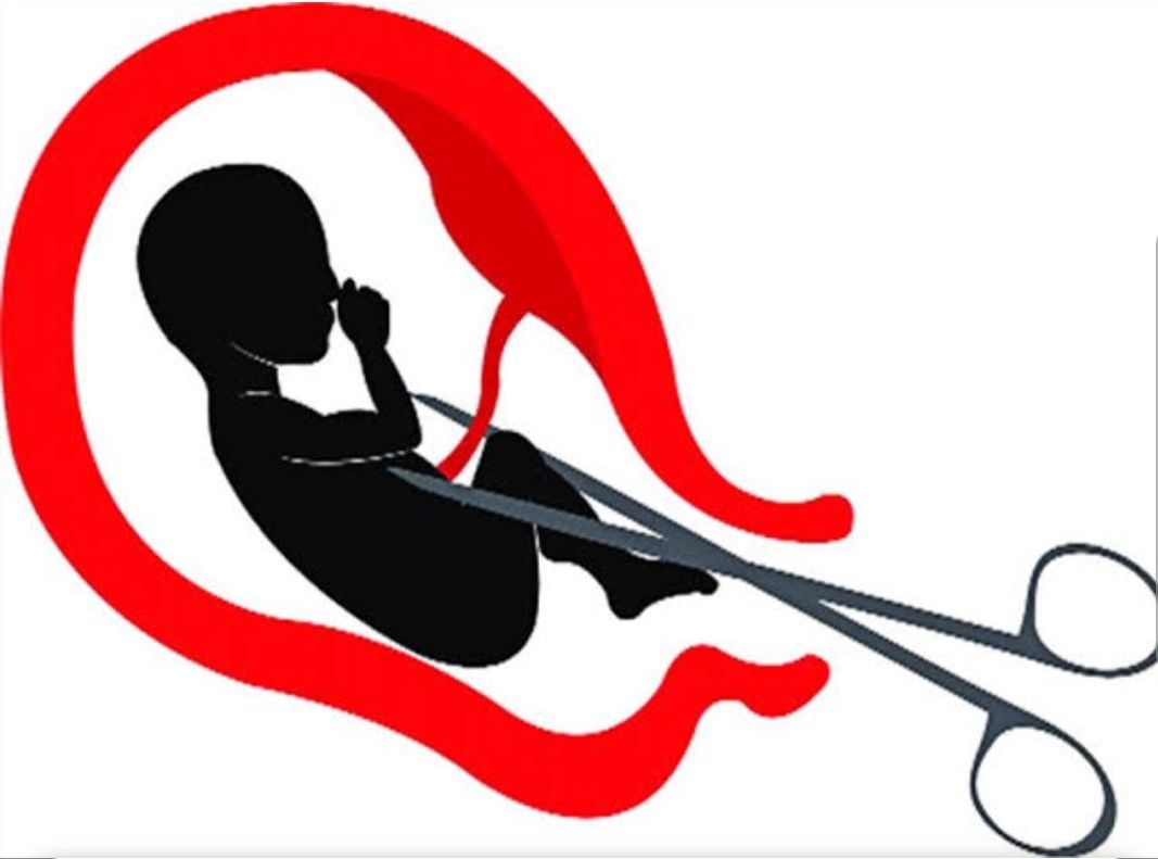 वाल पेटिंग के माध्यम से भ्रूण हत्या रोकने का संदेश