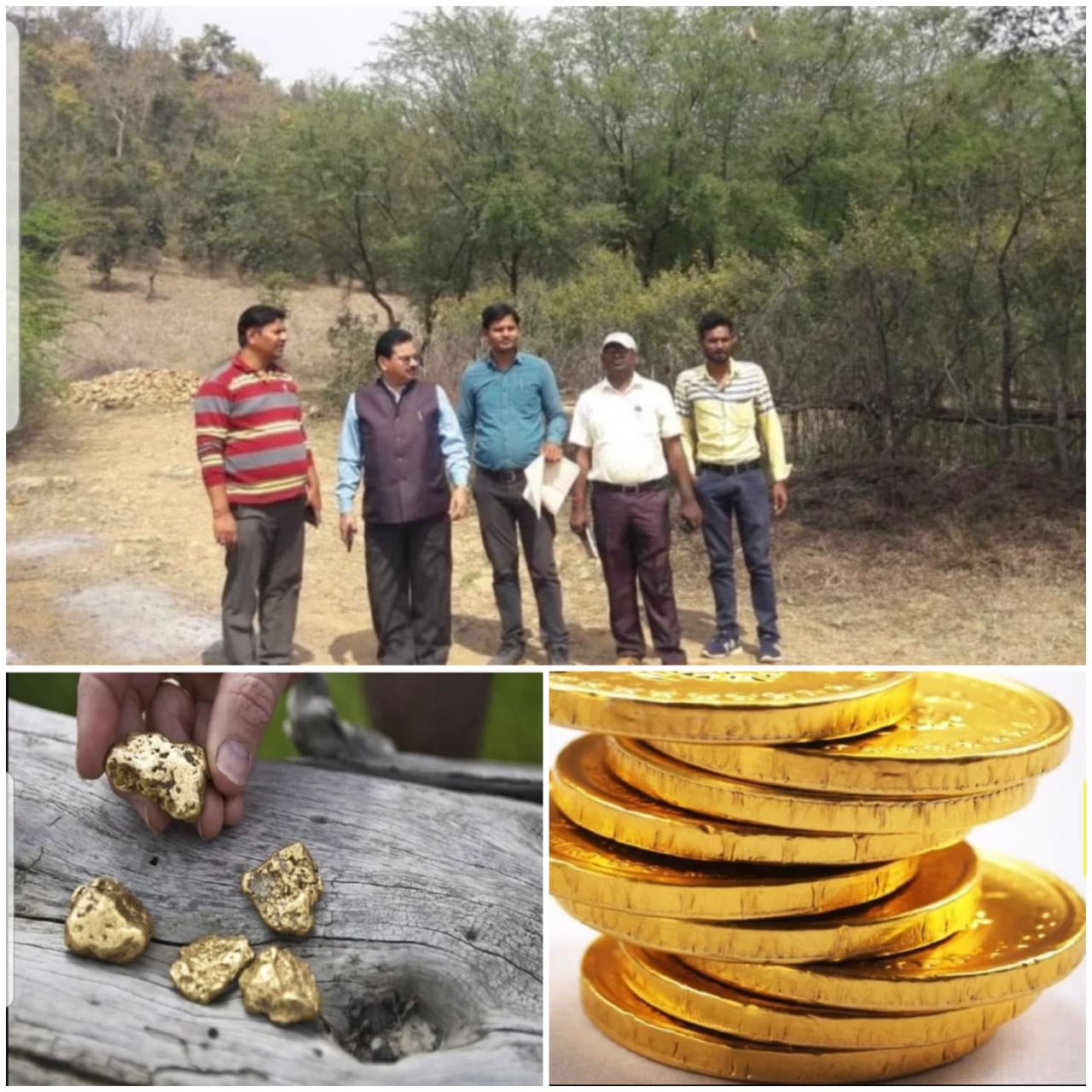 भारतीय स्वर्ण भंडार से पांच गुना ज्यादा सोना सोनभद्र खान में